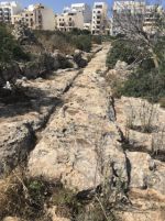 Cart ruts v zálivu Sv. Pavla